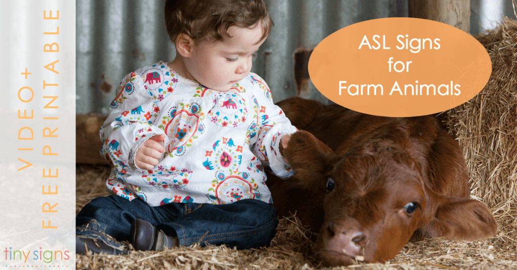 ASL Signs for Farm Animals