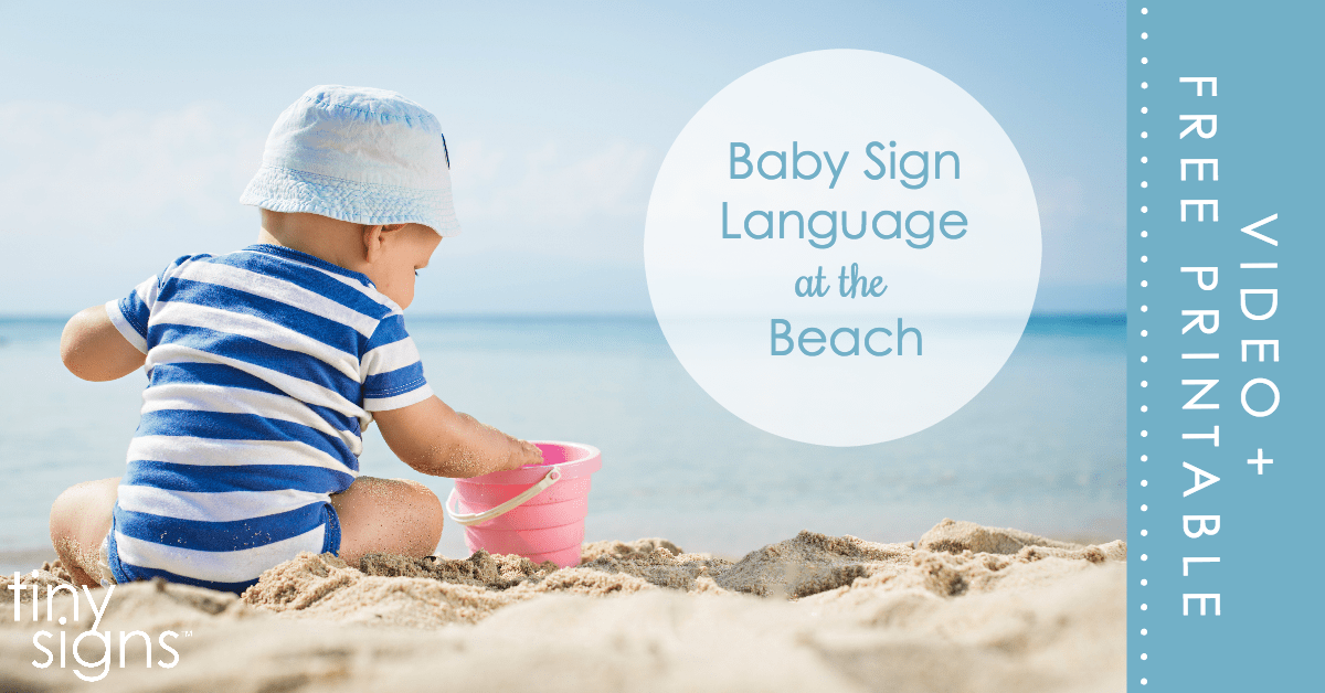 I had so much doing sign language with my babies! When we went to the beach, my little one did the sign for "bird" over and over at the seagulls and the little sandpipers running around. So fun!